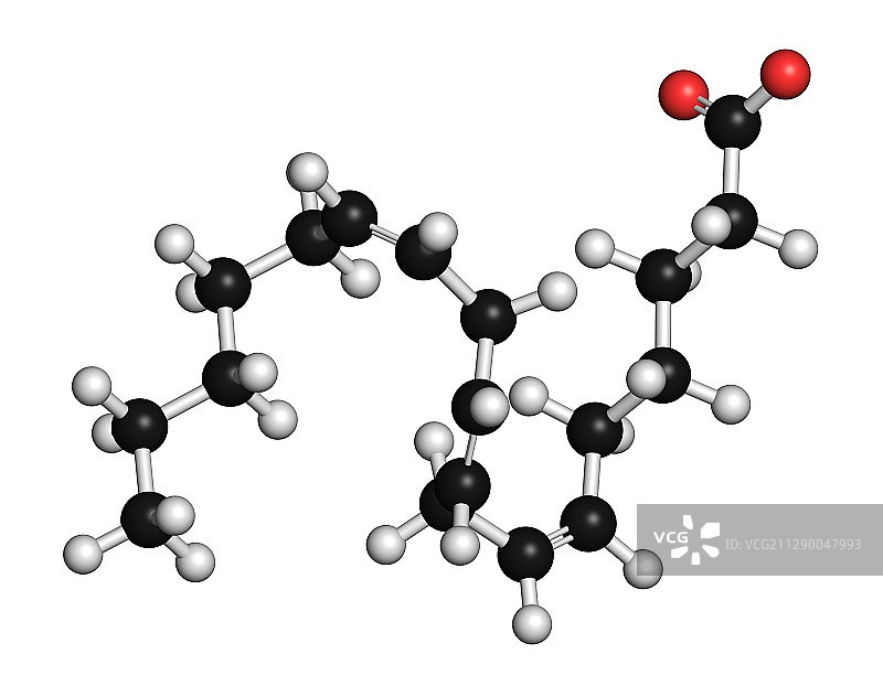 伽玛-亚麻酸脂肪酸分子图片素材