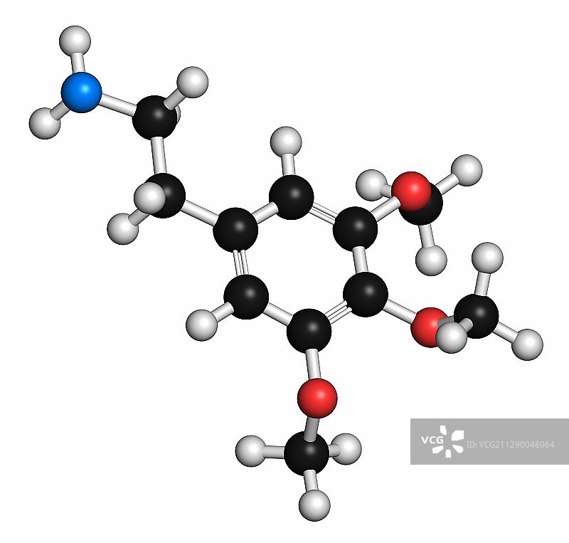 麦司卡林乌羽玉仙人掌迷幻药物分子图片素材