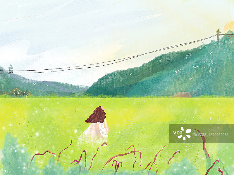 二十四节气系列插画图片素材