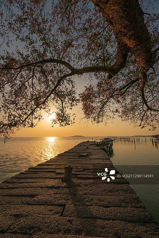 太湖古老码头石板路大树夕阳-2图片素材