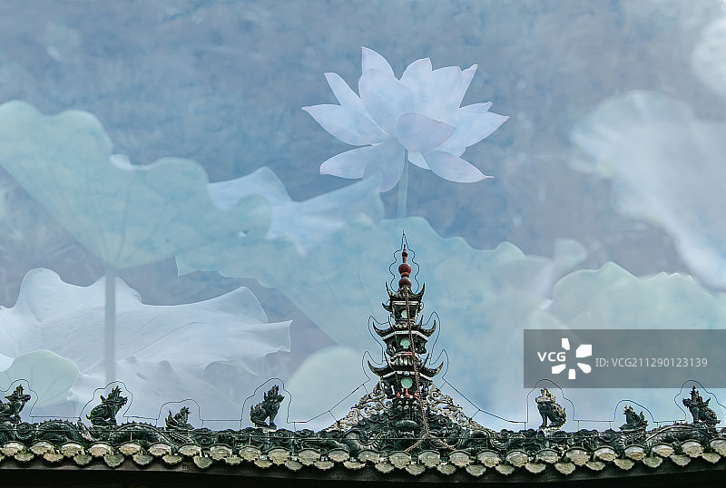 古寺莲花图片素材