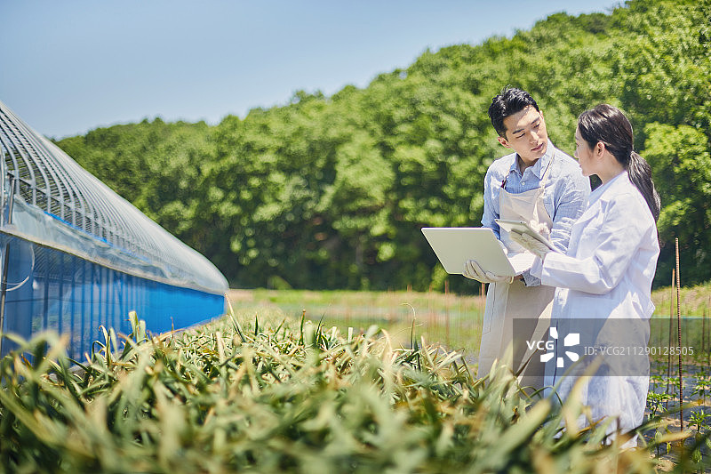 智慧农场、农业、研究、生物技术、ICT图片素材