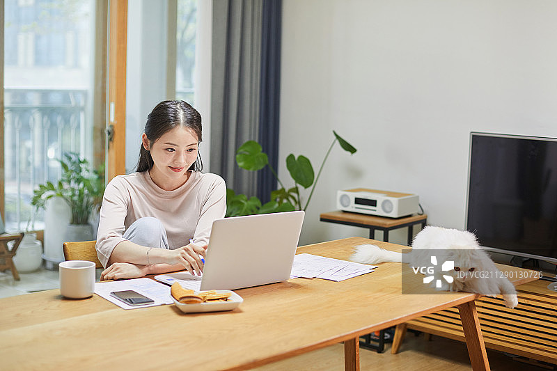 病毒、远程办公、社交距离、自由职业者与宠物猫图片素材