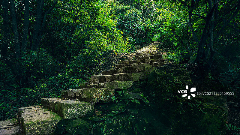 杭州西湖西山十里锒铛图片素材