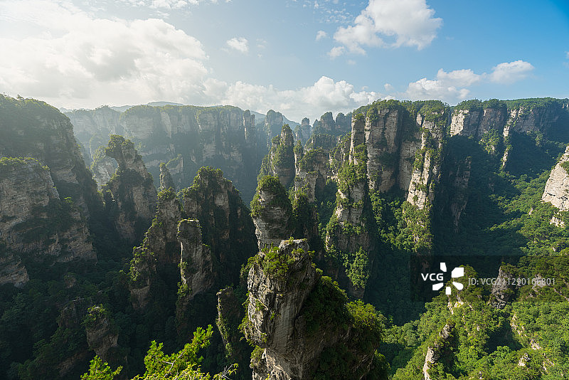 美丽的中国湖南省张家界国家森林公园自然风景。图片素材