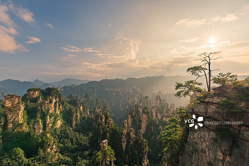 美丽的中国湖南省张家界国家森林公园自然风景。图片素材