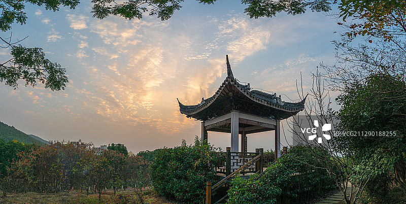 黄昏晚霞亭子树彩云图片素材
