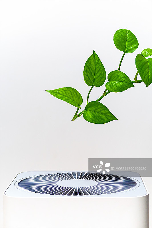 清新空气，绿色心情。图片素材