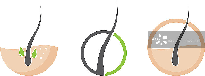 毛囊头发护理标志图片素材