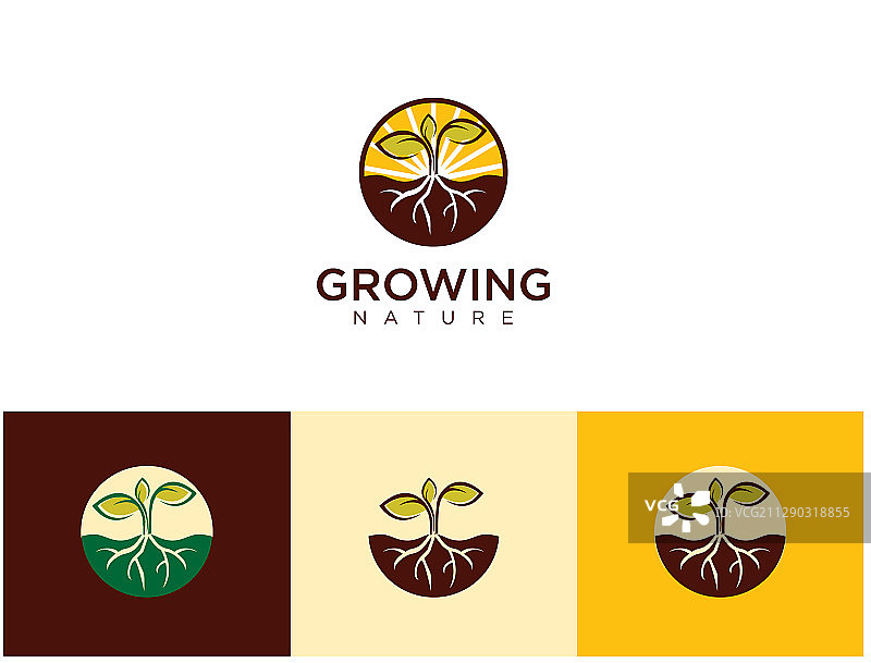 种子生长LOGO公园蔬菜种子花卉图片素材