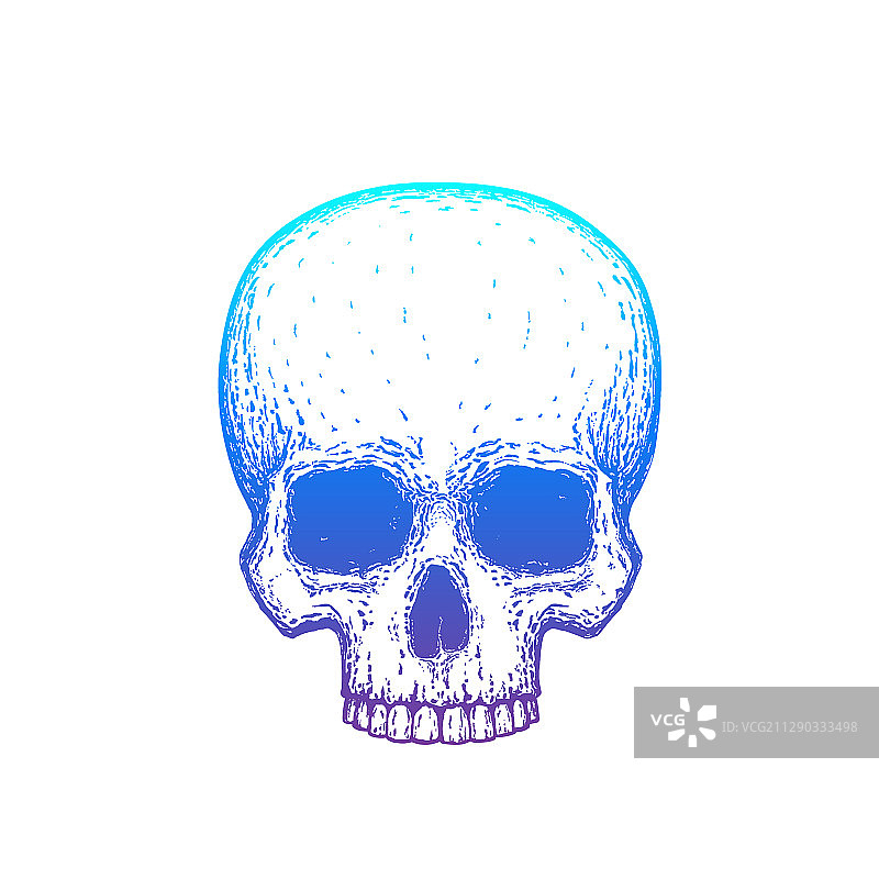 渐变人类头骨图片素材