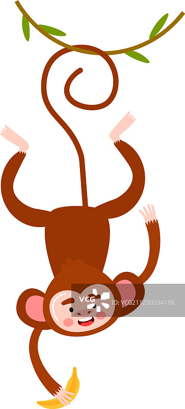 猴子挂在树枝上摘香蕉图片素材