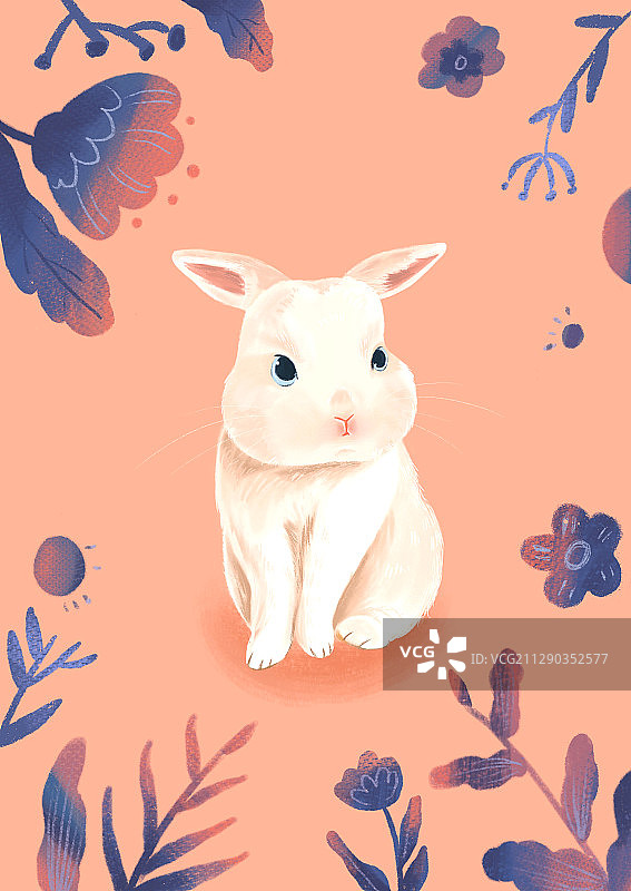 花与白兔2图片素材