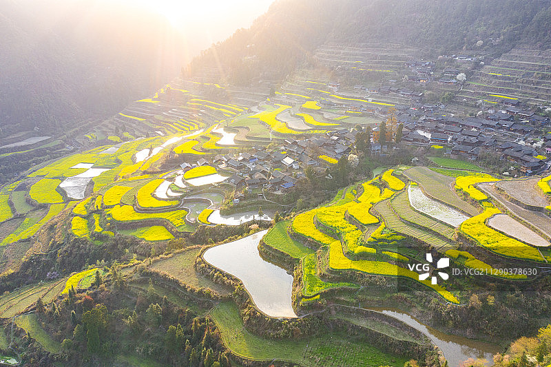湖南湘西古丈县岩排溪油菜花田图片素材