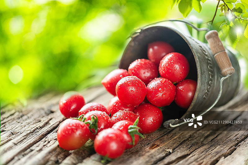 绿色背景中的一桶小西红柿特写图片素材