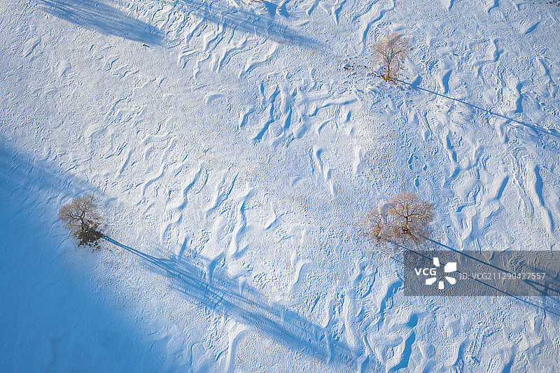 冬季航拍雪地上的树图片素材