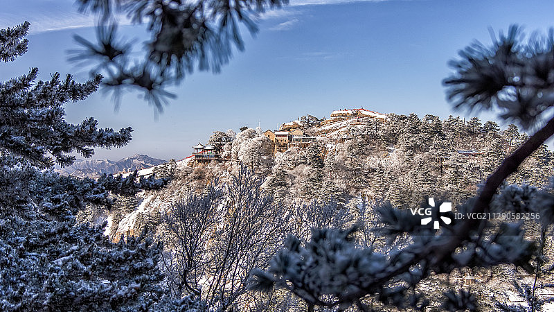 华山冬季雪景雾松图片素材