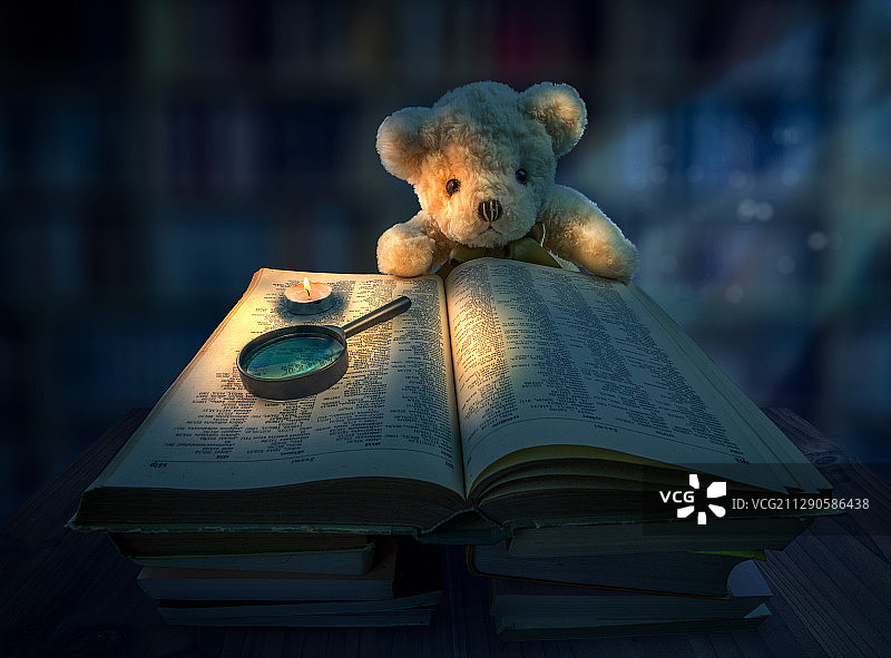 在图书馆阅读的玩具熊图片素材