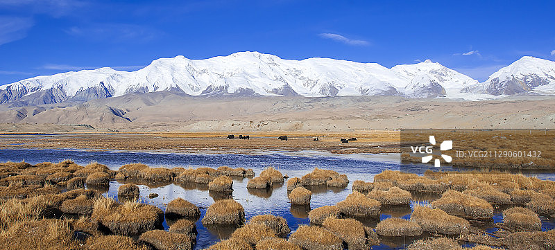 高山湿地图片素材