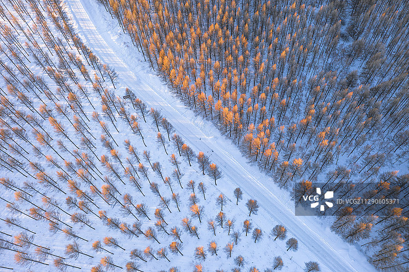 航拍雪地上森林旁的道路图片素材