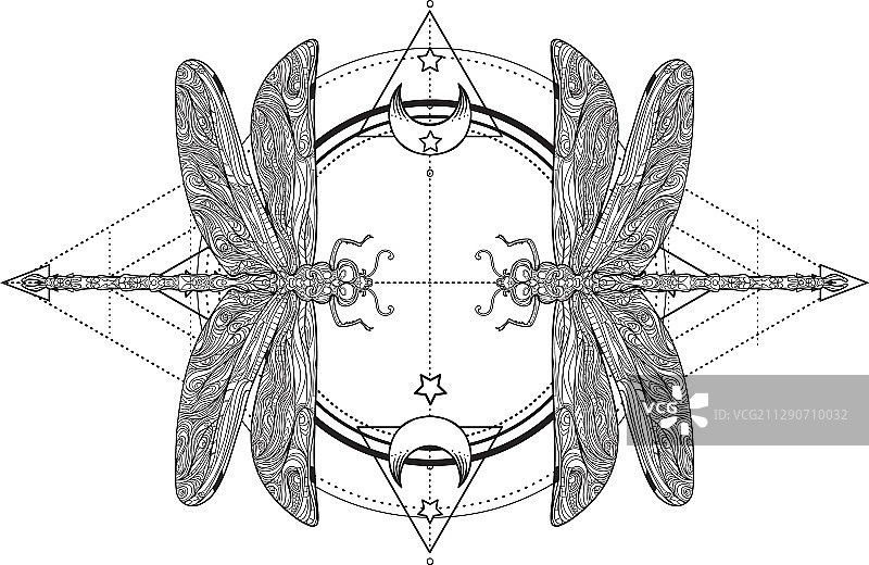 蜻蜓与神圣几何标志图片素材