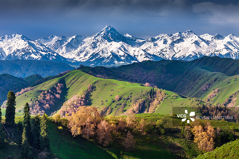 巩留县雄伟的喀班巴依图片素材