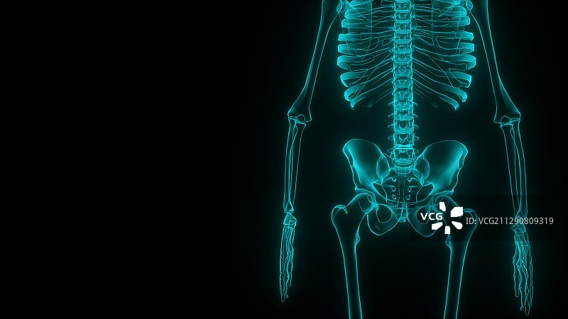 三维渲染人体骨骼X光线透射图图片素材