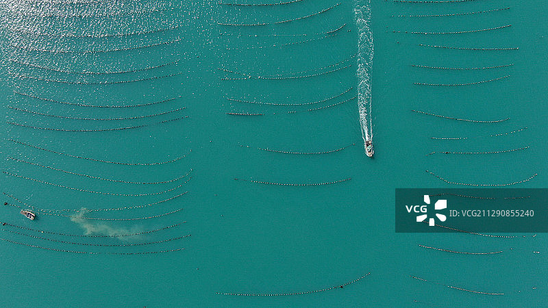 海上的生蚝养殖场图片素材