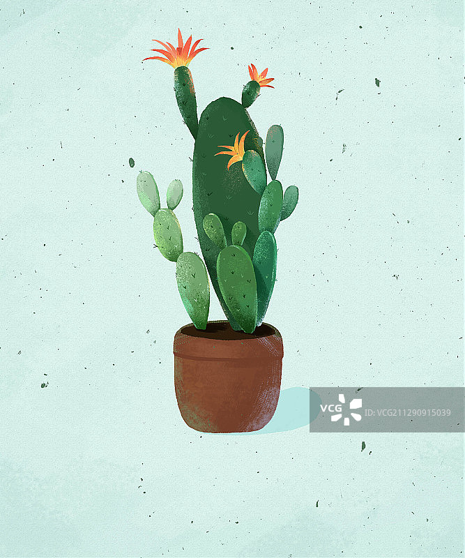 仙人掌图片素材