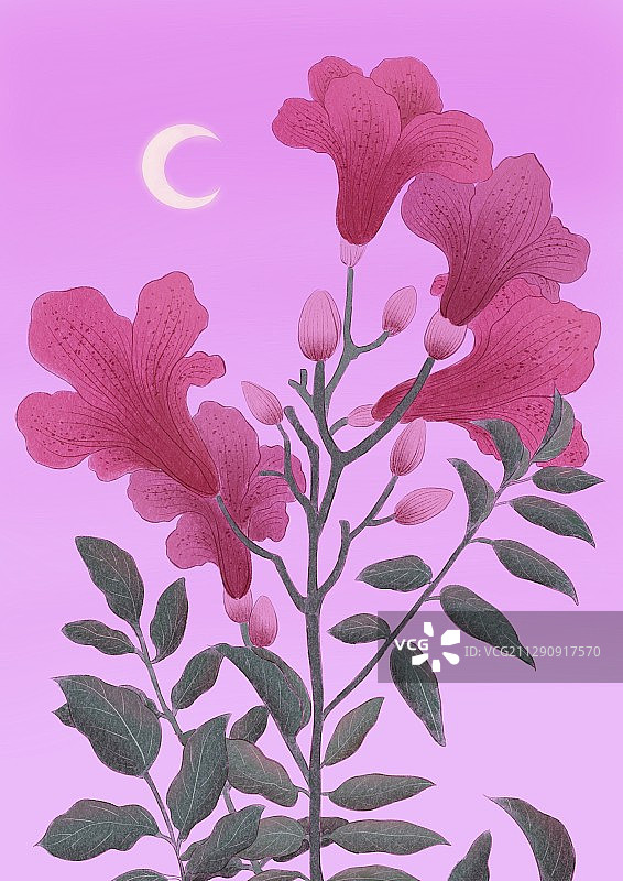 花与月之杜鹃花图片素材