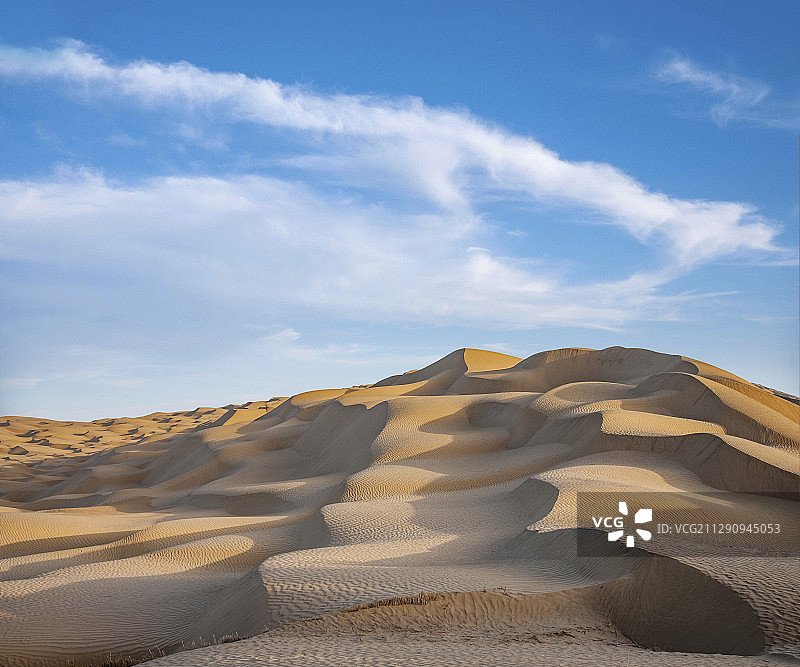 新疆塔里木沙漠公路旁的沙漠图片素材