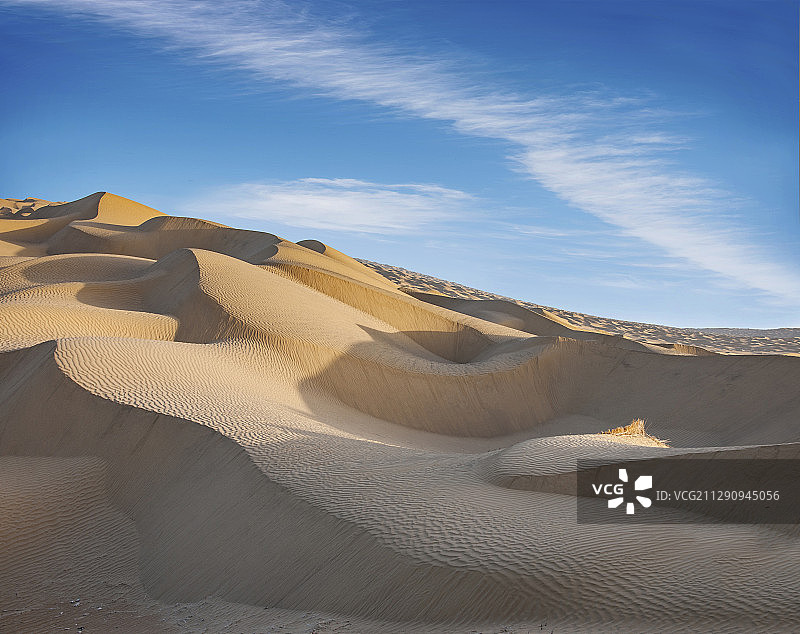 新疆塔里木沙漠公路旁的沙漠图片素材