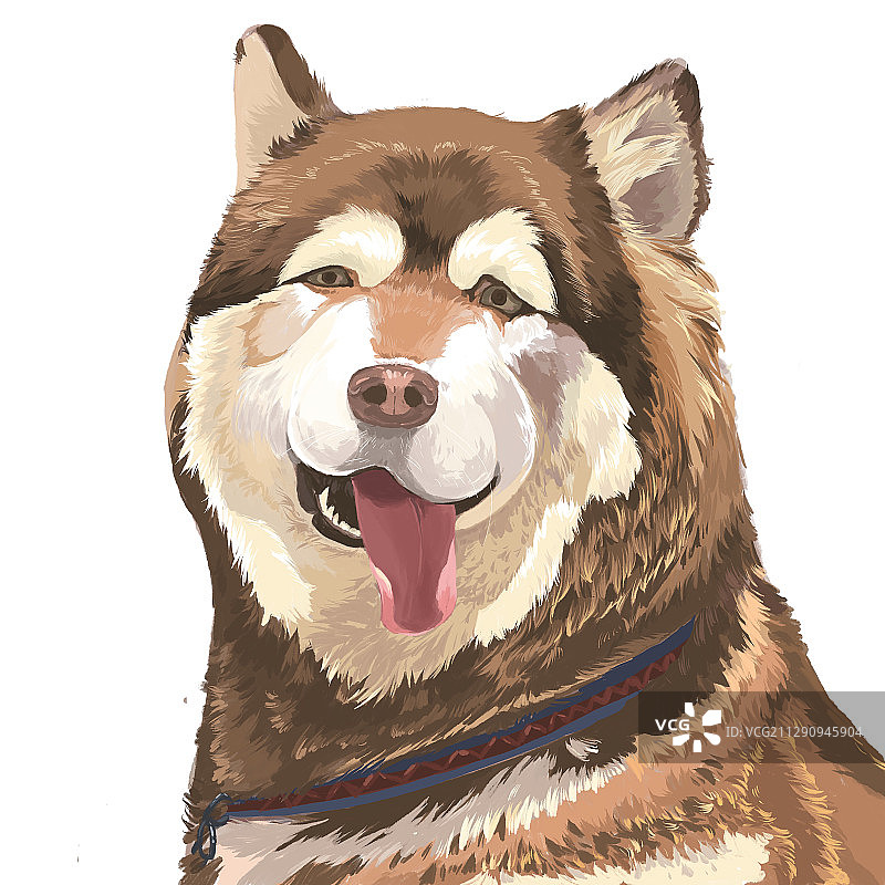 阿拉斯加图片素材