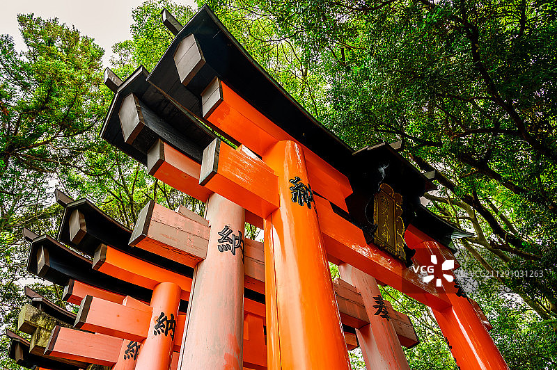 日本京都伏见稻荷大社千鸟居图片素材