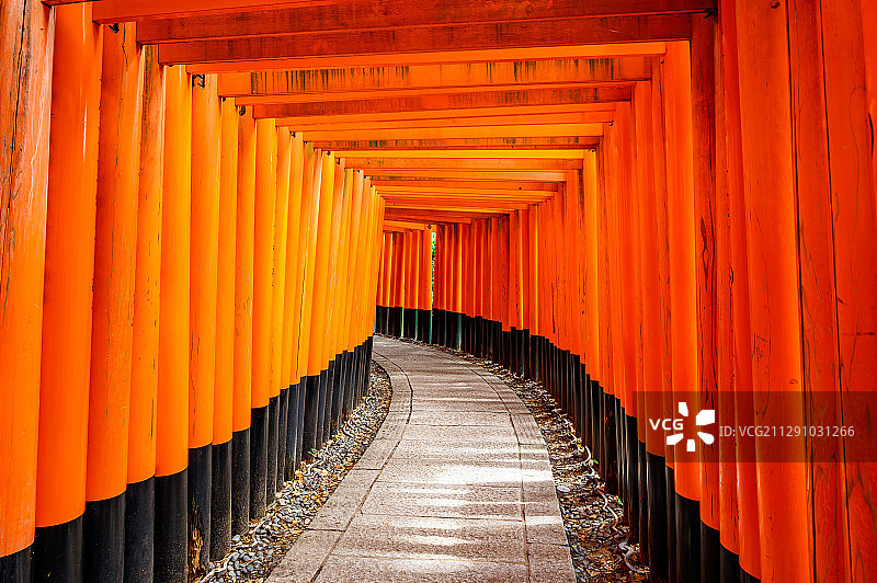 日本京都伏见稻荷大社千鸟居图片素材