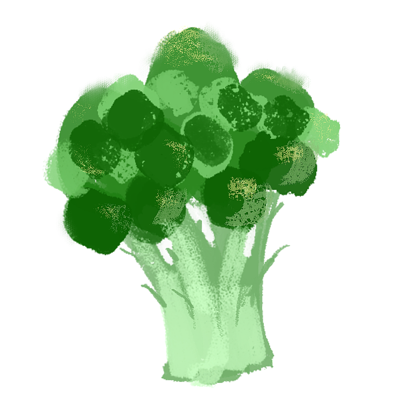 西兰花图片素材