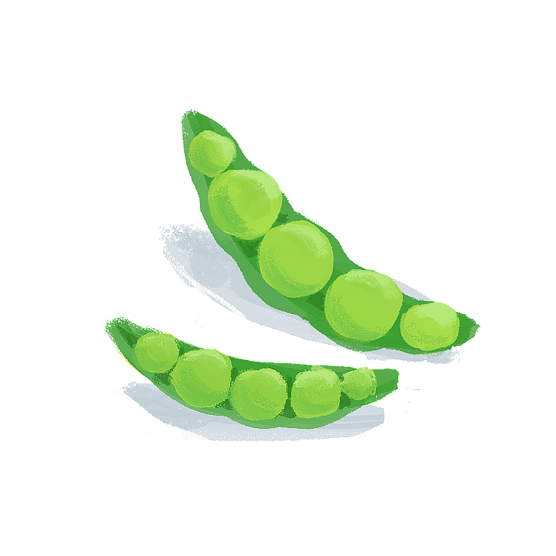 豆角图片素材