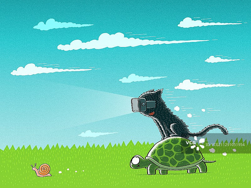 猫和乌龟图片素材