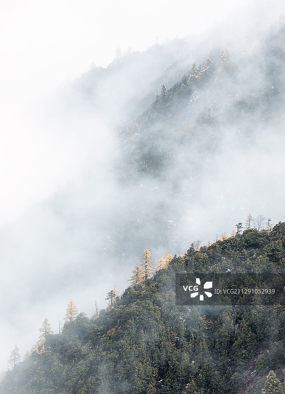 水墨丹青之白马雪山   云南省德钦县白马雪山图片素材