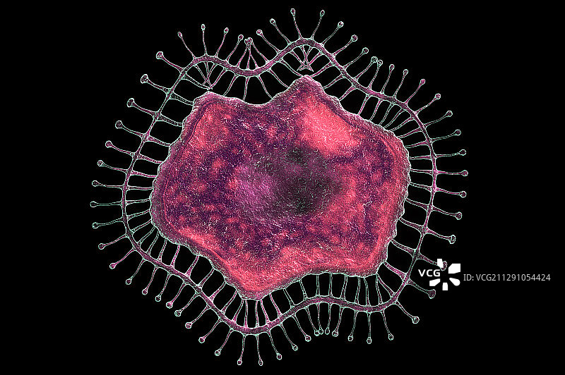 新型冠状病毒肺炎图片素材