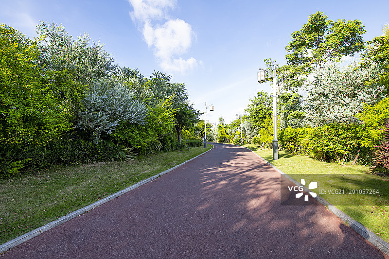 阳光照在公路里的健身绿道上图片素材