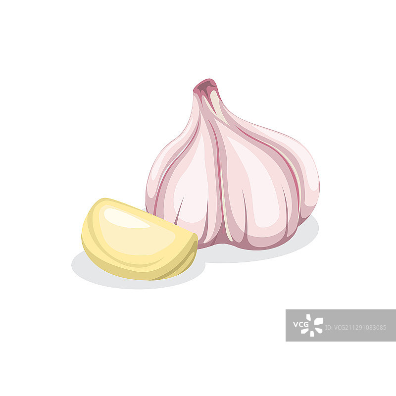 用于食品图标制作的蒜味植物配料图片素材
