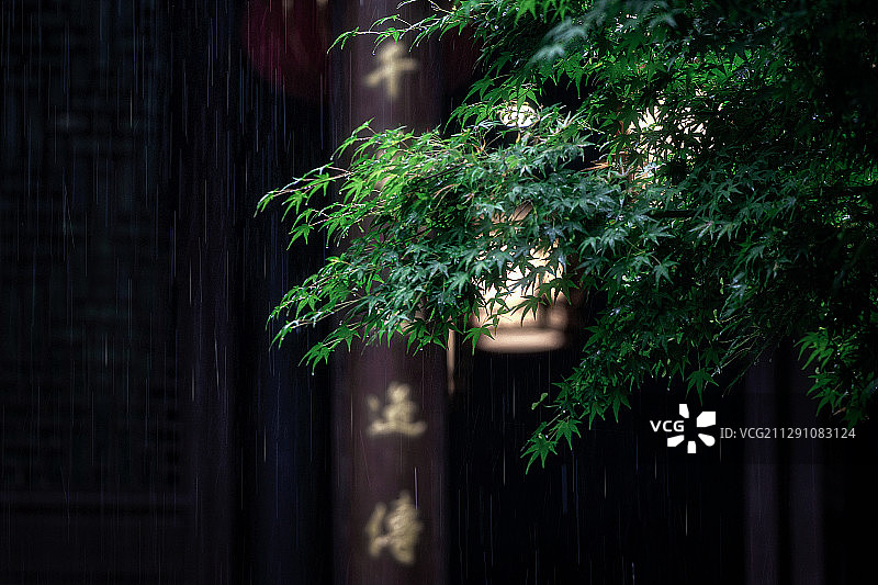 江南雨图片素材