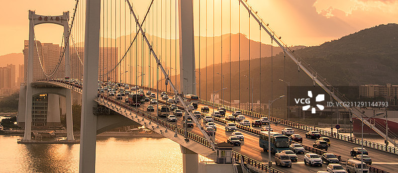 金色阳光照耀下的海沧大桥图片素材