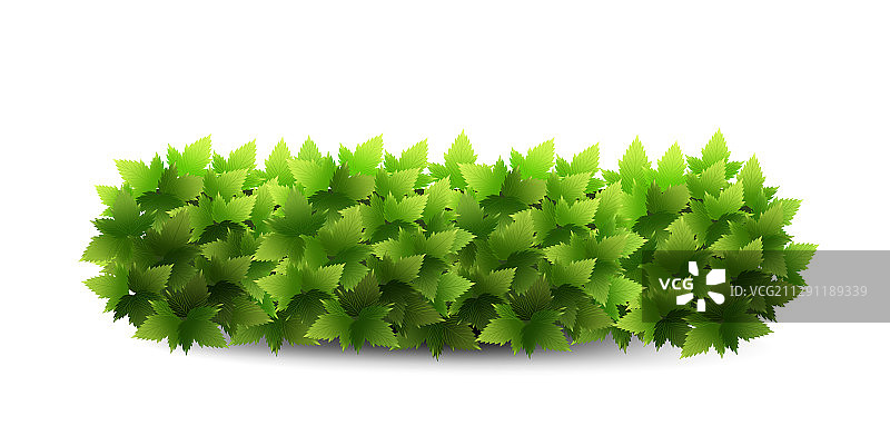 花园灌木绿色植物灌木丛图标图片素材