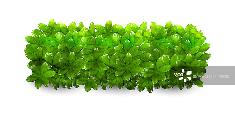 花园灌木绿色植物灌木丛图标图片素材