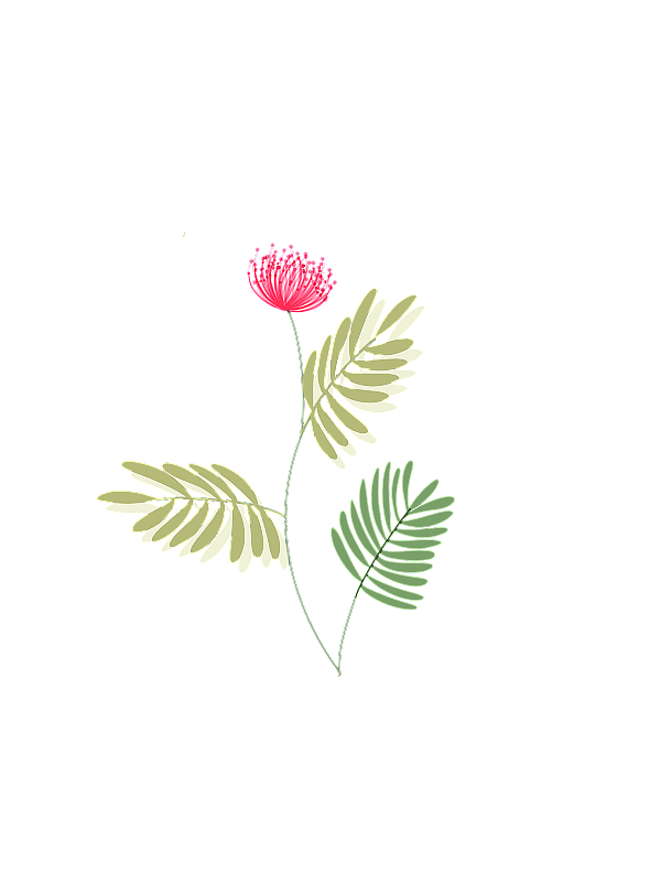 小清新植物图片素材