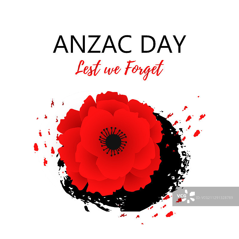 红色罂粟花纪念日图片素材