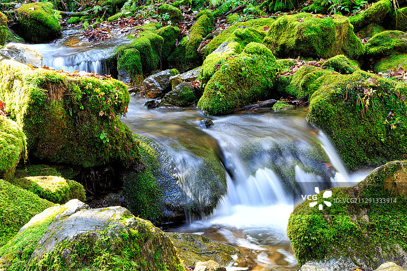 神农架原始森林溪流图片素材