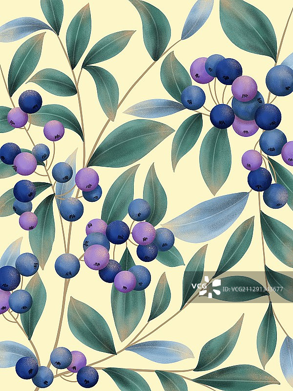 水果壁纸图片素材